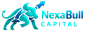 Nexabullcapital logo