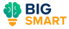 BigSmart Logo