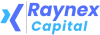 Raynex Capital Logo
