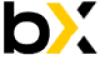 Bincryptex Logo