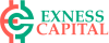 Xnesstradingltd Biz Logo