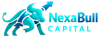 Nexabullcapital Logo