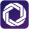 BonkyPayChain Logo
