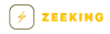 Logo Zeeking