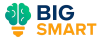 Logo BigSmart