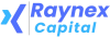 Logo Raynex Capital