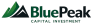 Logo BluePeak Capital Investment