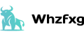 Whzfxg logo