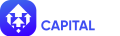 Anchora Capital AS logo