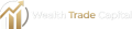 Wealth Trade Capital logo