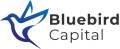Bluebird Capital logo