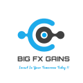 Bigfxgains logo