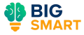 Компания BigSmart BigSmart logo