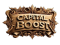 Logo Capital Boost