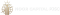 Logo My Noor Trd Com