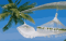 Logo Radisson003