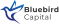 Logo Bluebird Capital