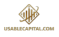 Logo Usable Capital