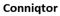 Logo Conniqtor